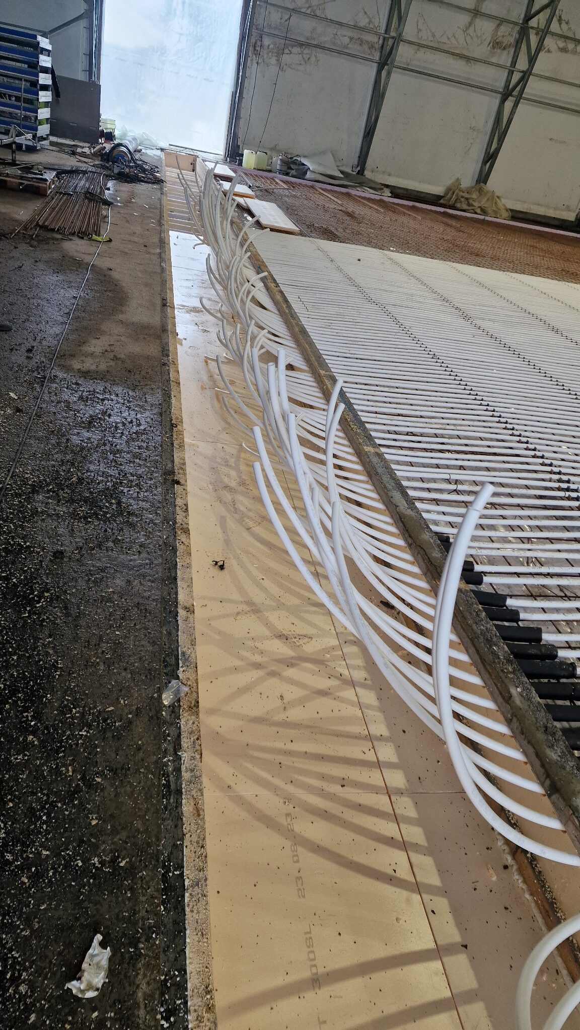 APP 20240221 1903193 rotated — Moss