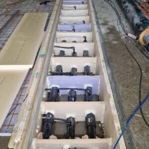 APP 20240221 1903194 rotated — Moss