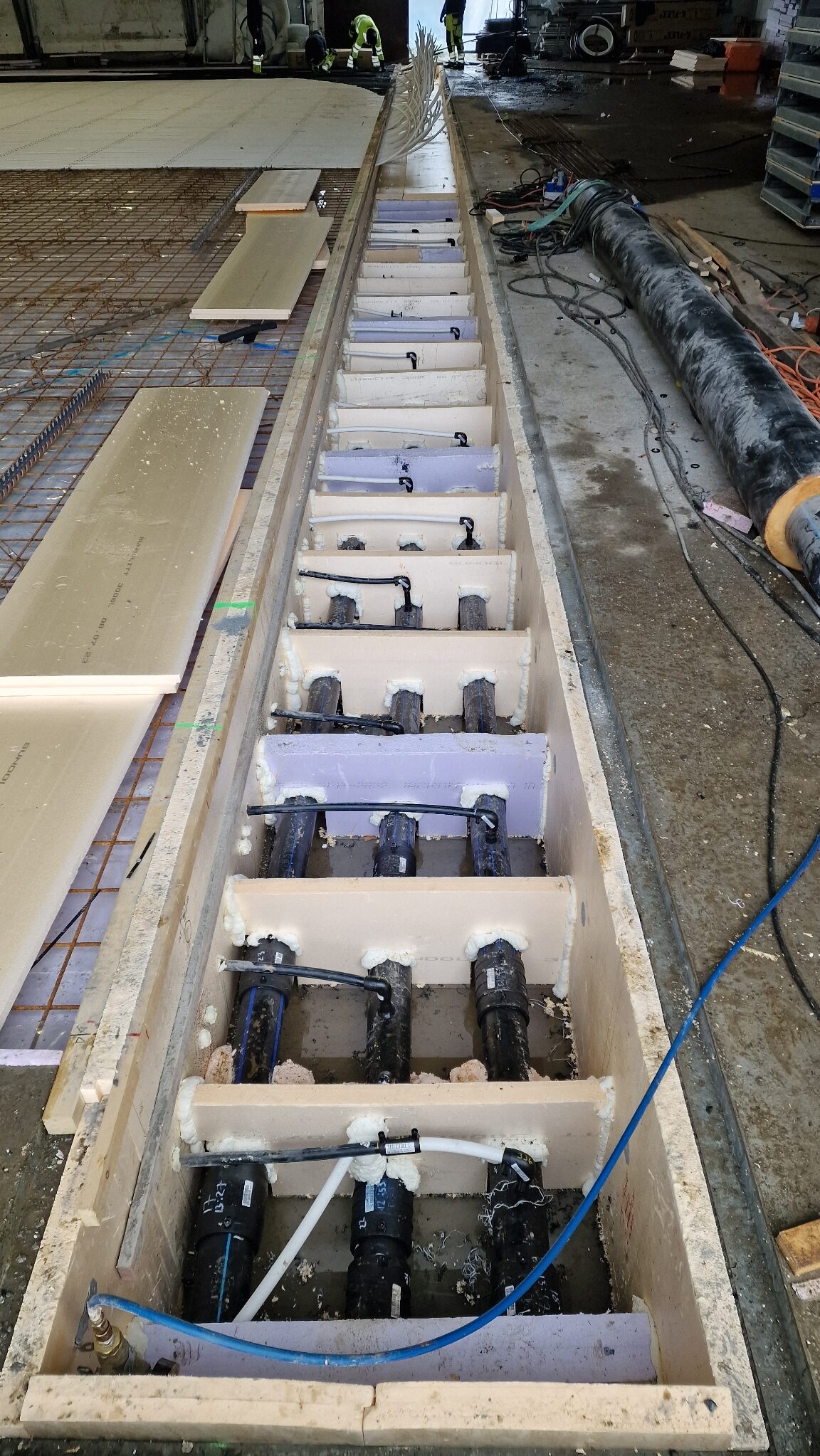 APP 20240221 1903194 rotated — Moss