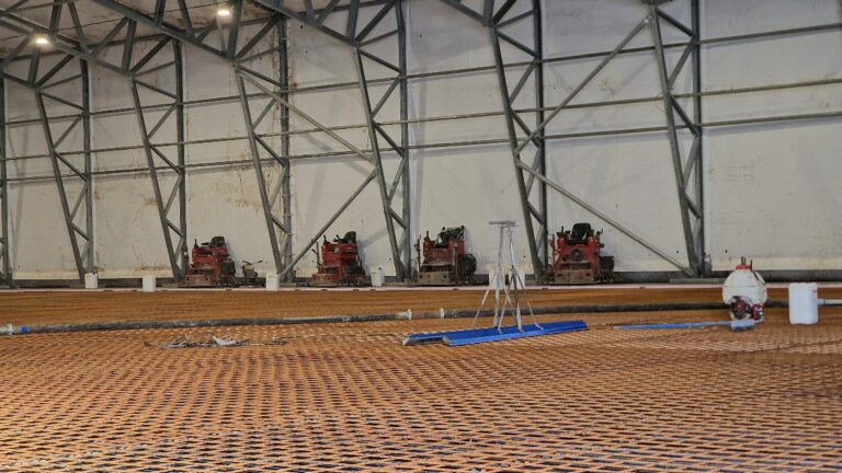 APP 20240311 170519 — Moss