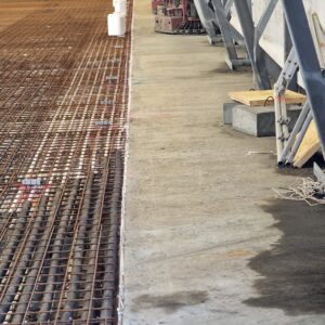 APP 20240311 1705192 rotated — Moss