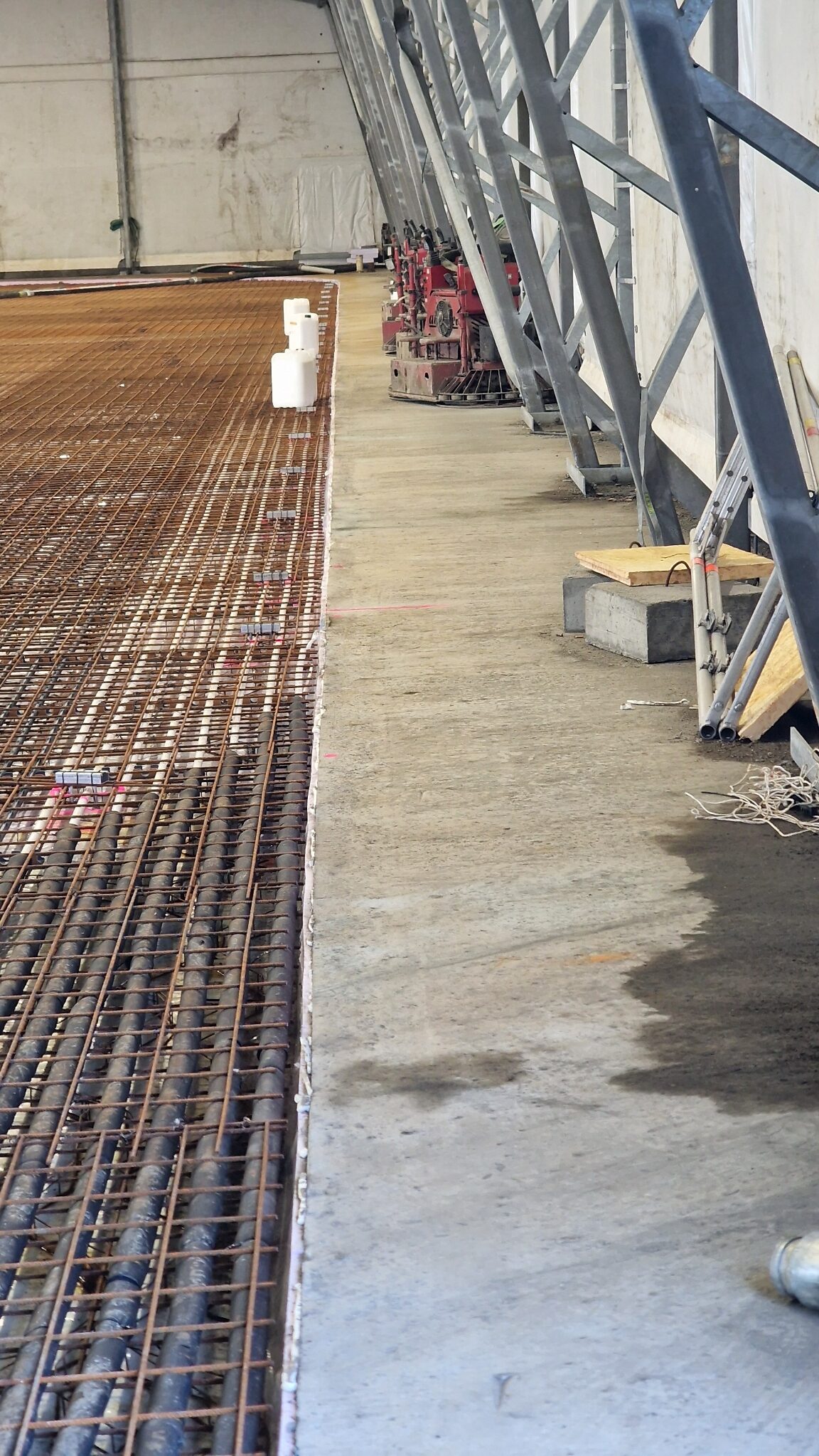 APP 20240311 1705192 rotated — Moss