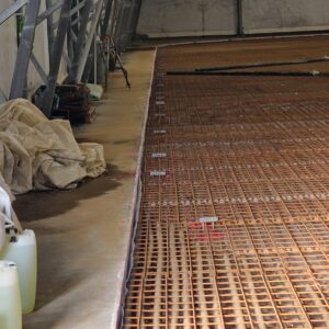 APP 20240311 1705193 rotated — Moss