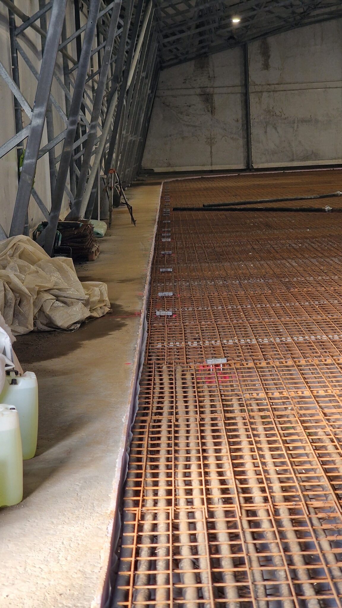 APP 20240311 1705193 rotated — Moss