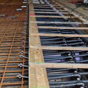 APP 20240311 1705194 rotated — Moss