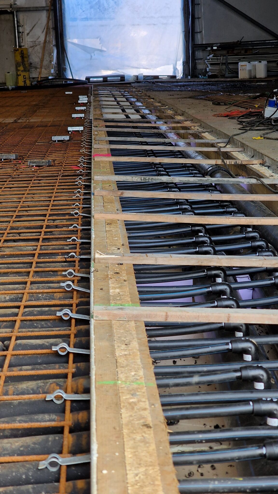 APP 20240311 1705194 rotated — Moss