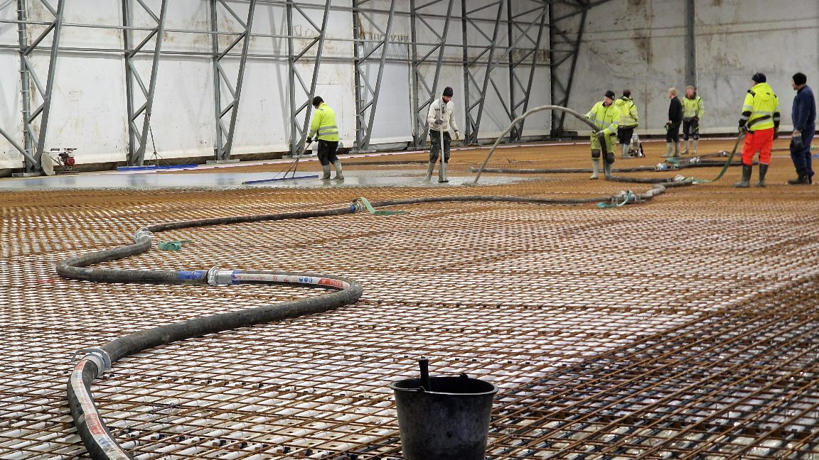 APP 20240312 1914511 — Moss