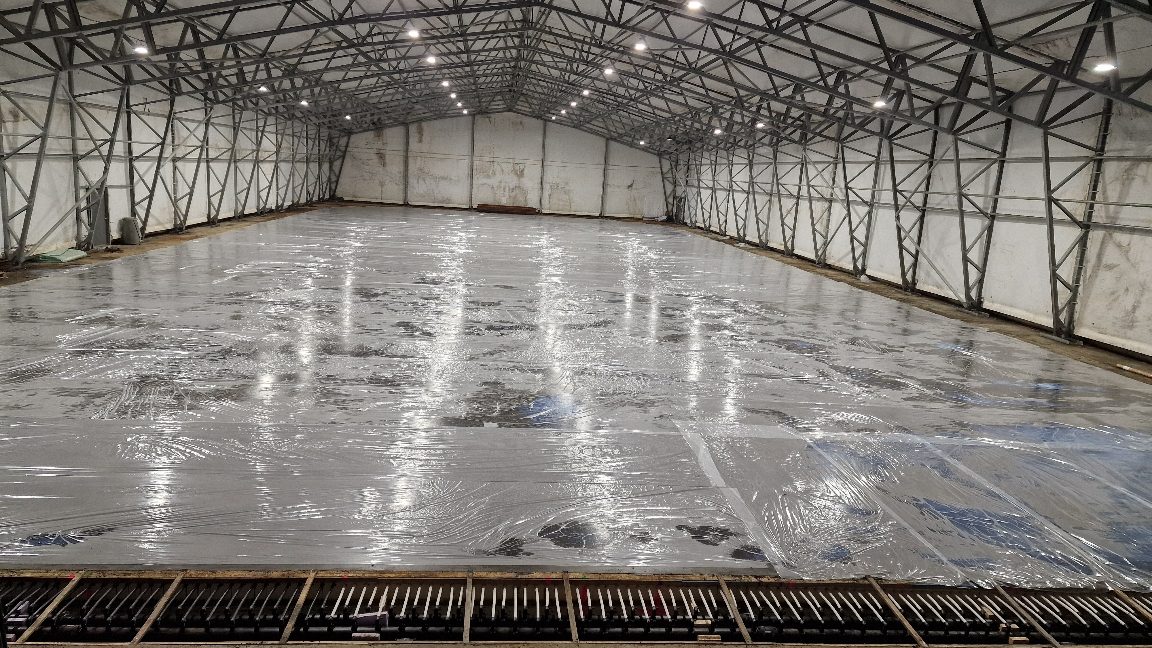 APP 20240312 19145110 — Moss