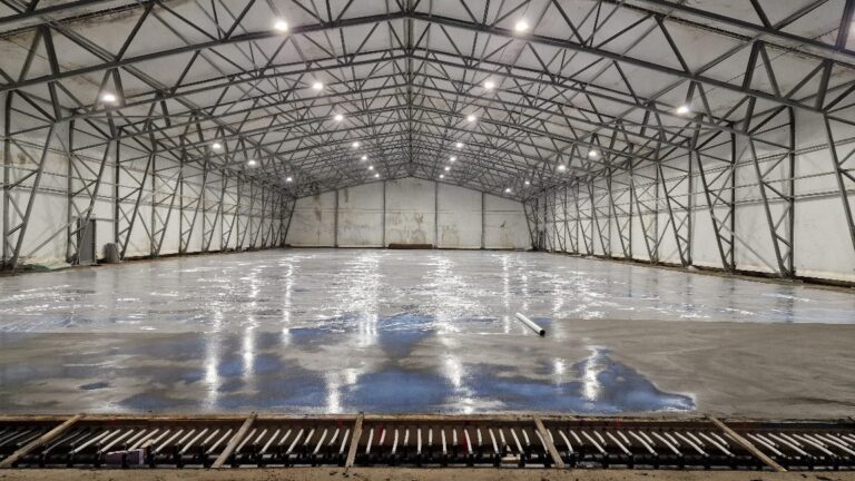 APP 20240312 19145112 — Moss