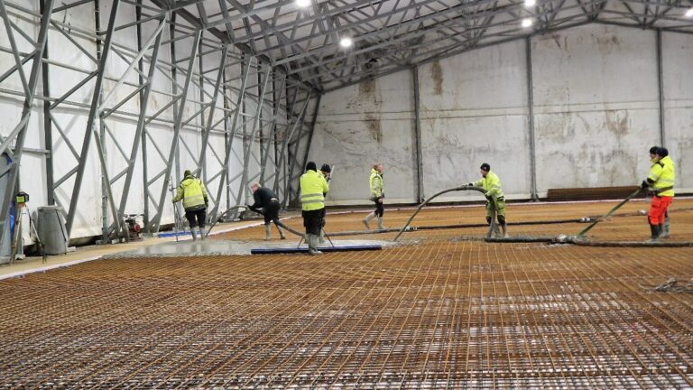 APP 20240312 19145114 — Moss