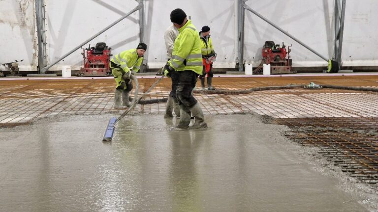 APP 20240312 19145115 — Moss