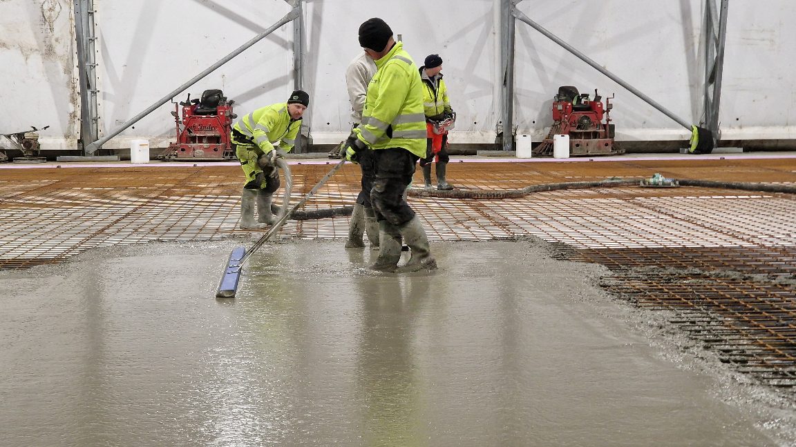 APP 20240312 19145115 — Moss