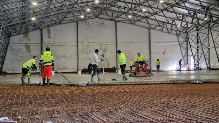 APP 20240312 1914512 — Moss