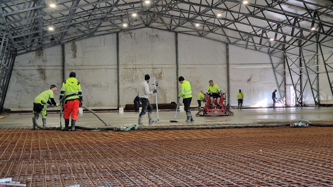 APP 20240312 1914512 — Moss