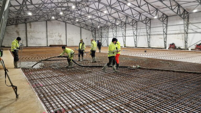 APP 20240312 1914515 — Moss