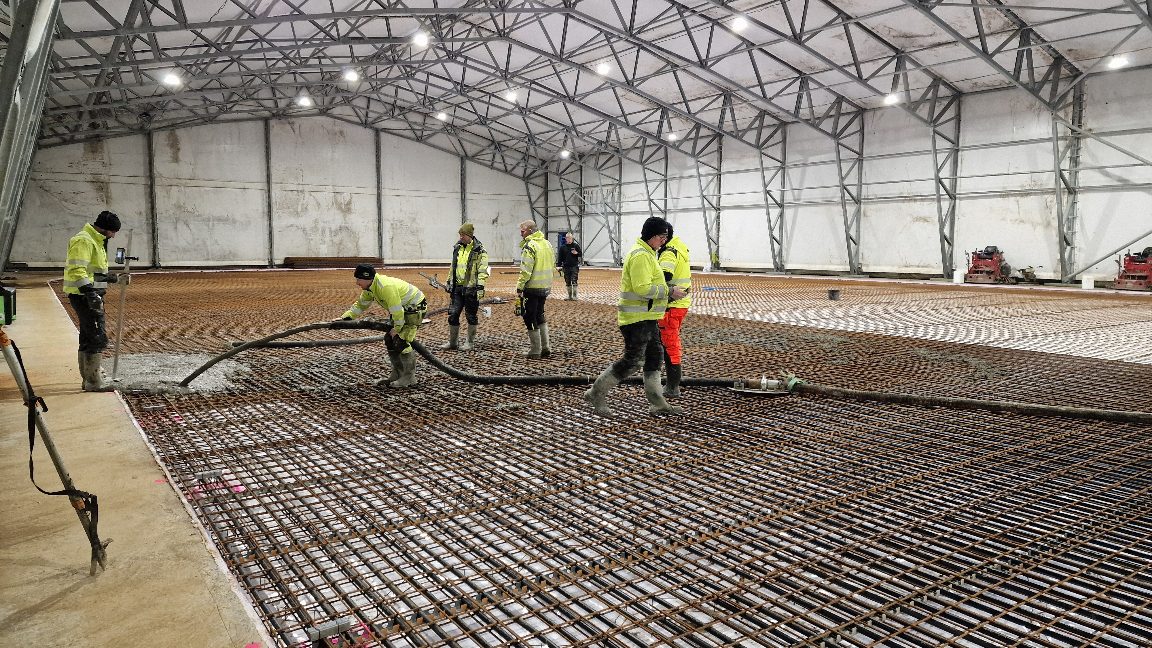 APP 20240312 1914515 — Moss