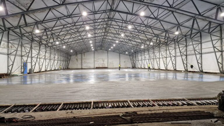 APP 20240312 1914516 — Moss