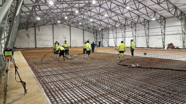 APP 20240312 1914517 — Moss