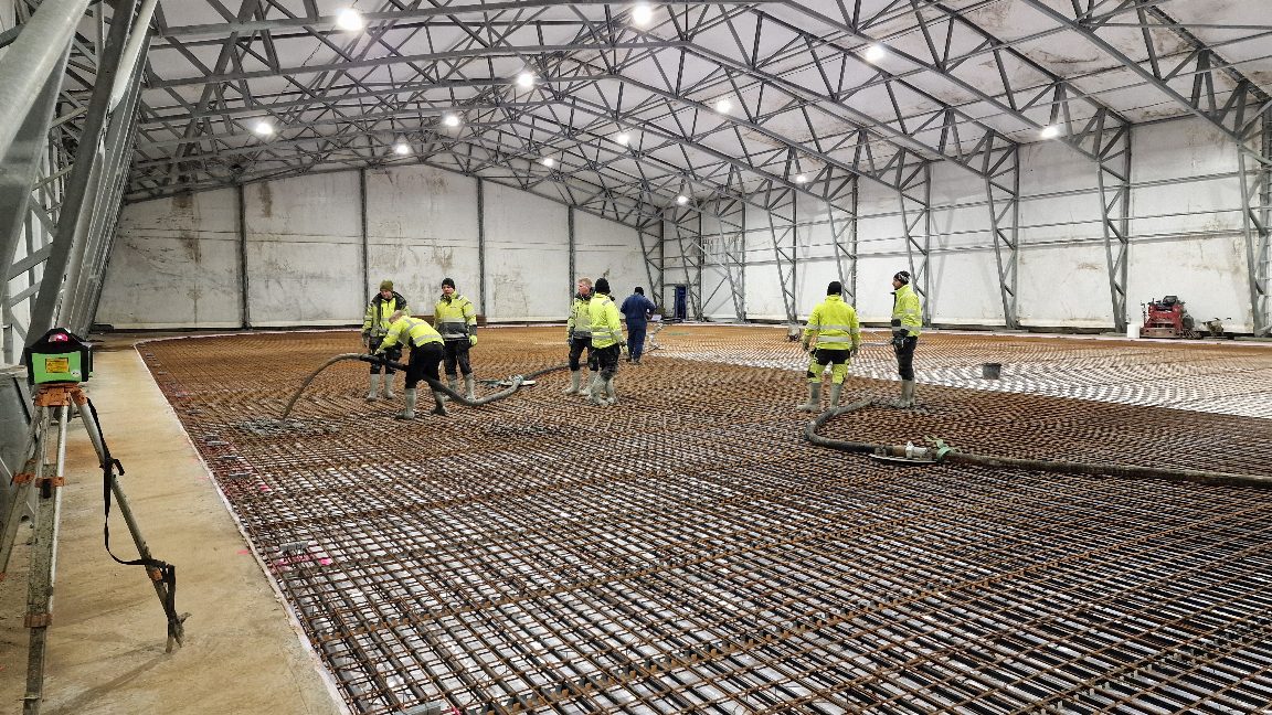 APP 20240312 1914517 — Moss