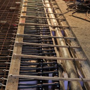 APP 20240312 1914519 rotated — Moss