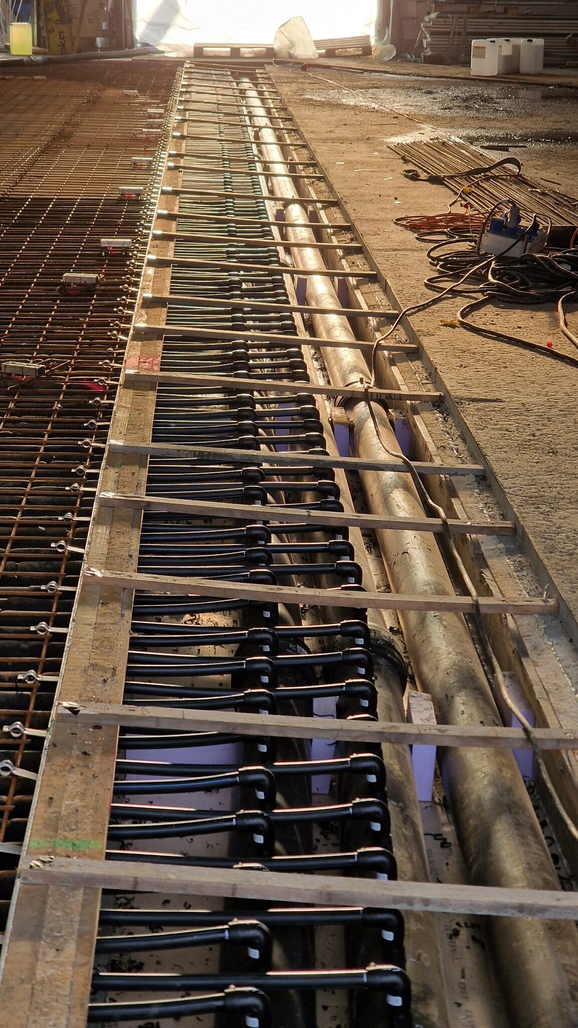 APP 20240312 1914519 rotated — Moss