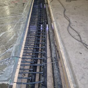 APP 20240314 1527511 rotated — Moss