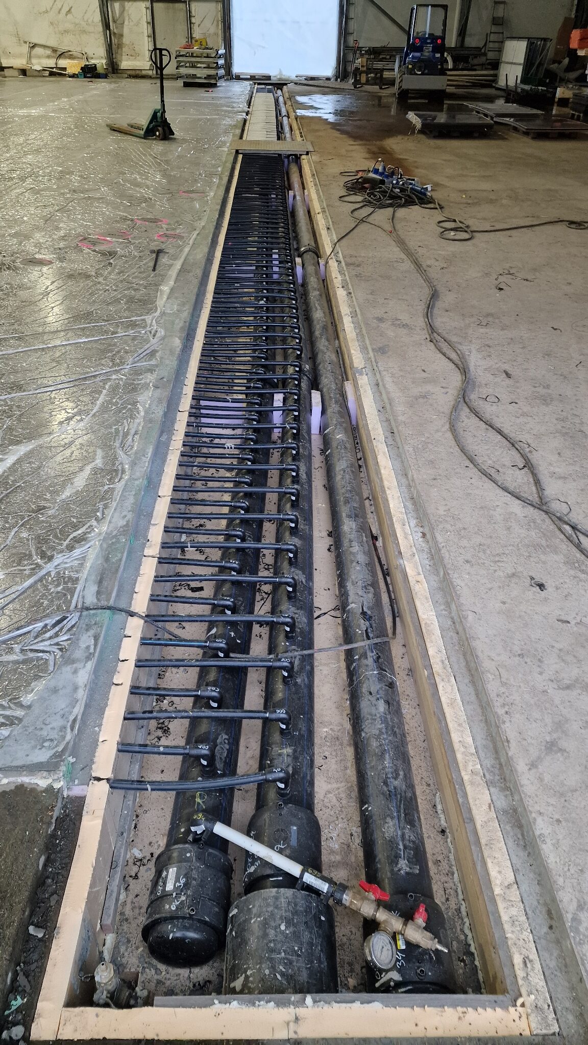 APP 20240314 1527511 rotated — Moss