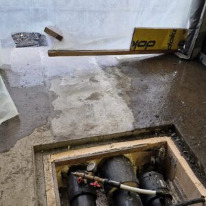 APP 20240314 1527512 rotated — Moss