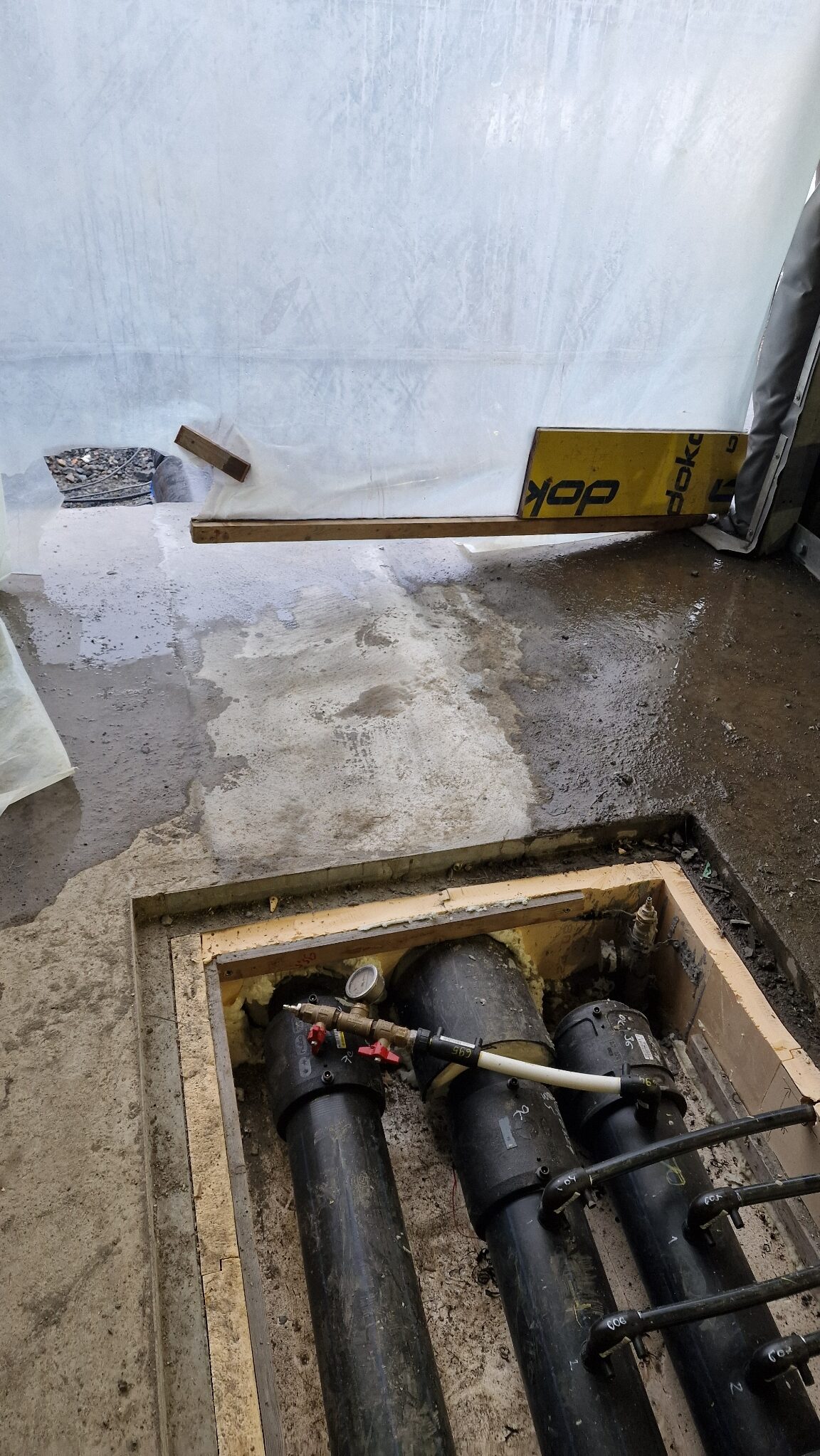 APP 20240314 1527512 rotated — Moss