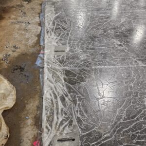 APP 20240314 1527513 rotated — Moss