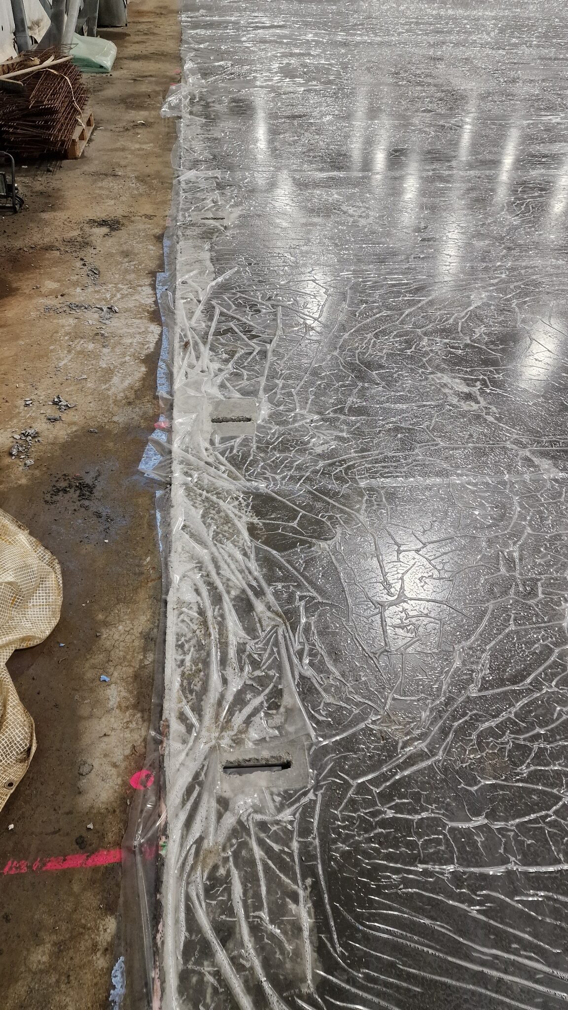 APP 20240314 1527513 rotated — Moss