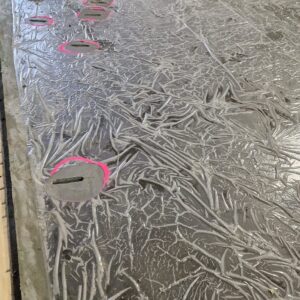 APP 20240314 1527514 rotated — Moss