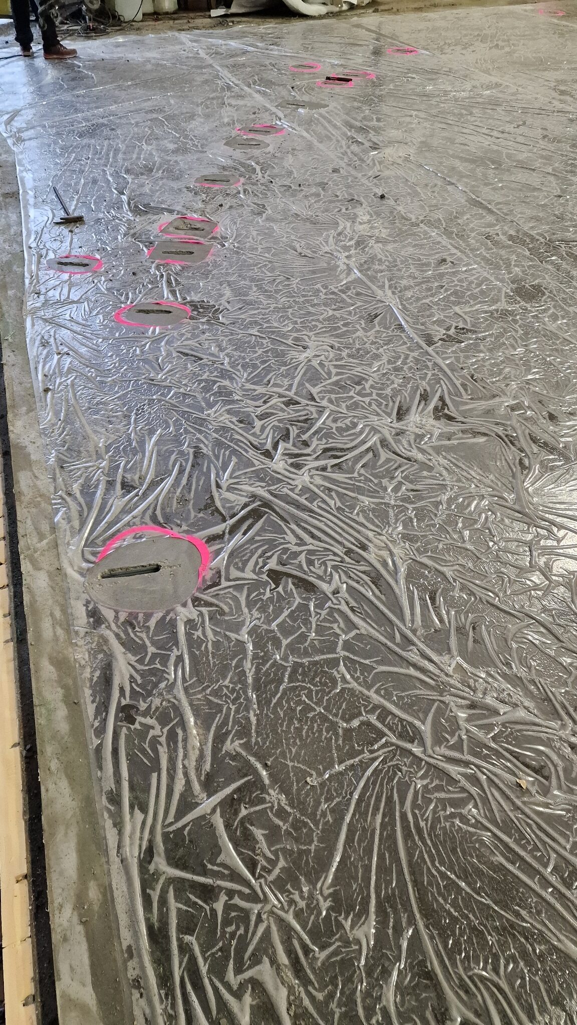 Moss – Telthall (2024)