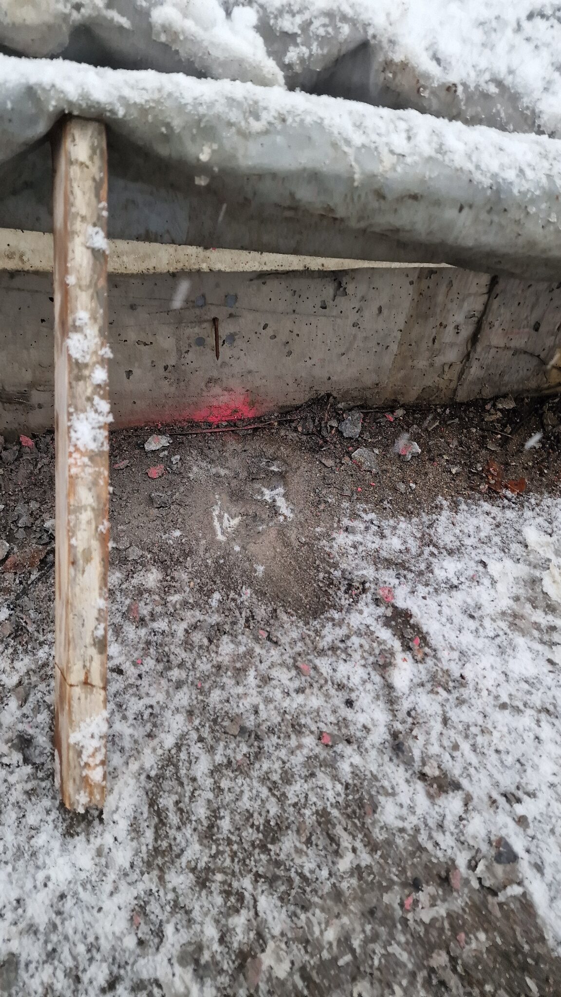 Moss – Telthall (2024)