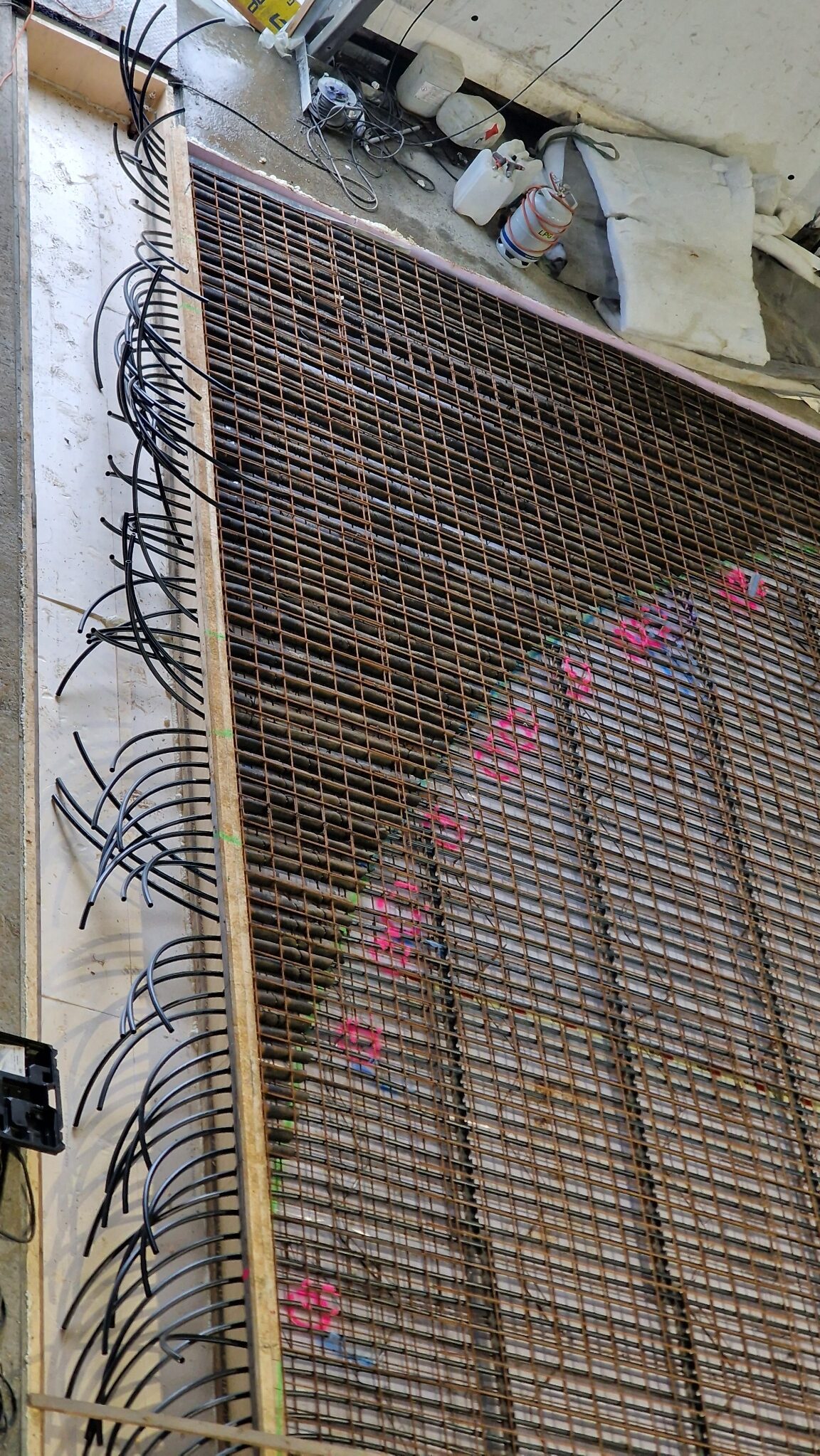 Moss Telthall 2024 — prosjektbilde