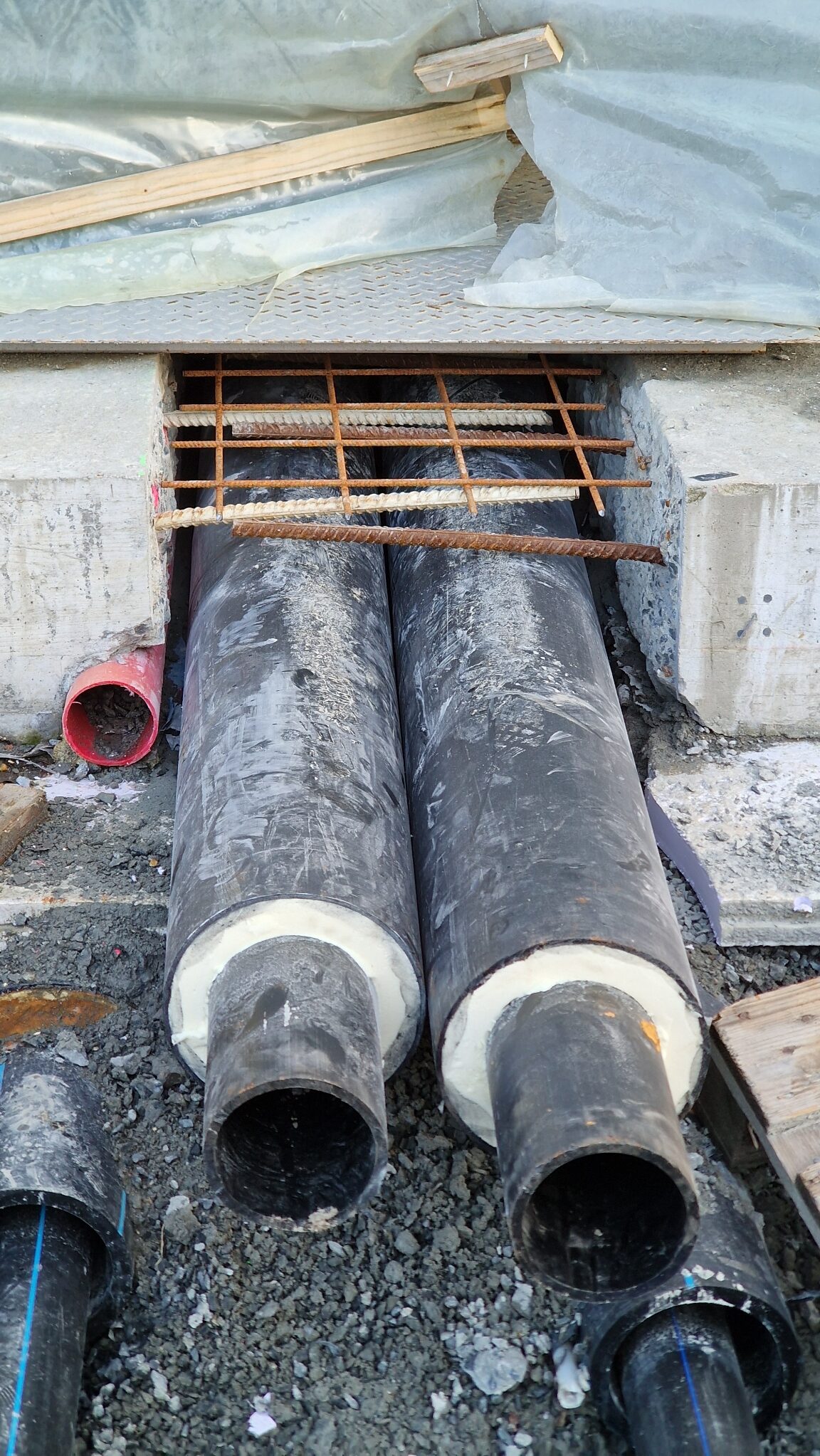 Moss Kunstisbane Telthall00199 rotated — Moss