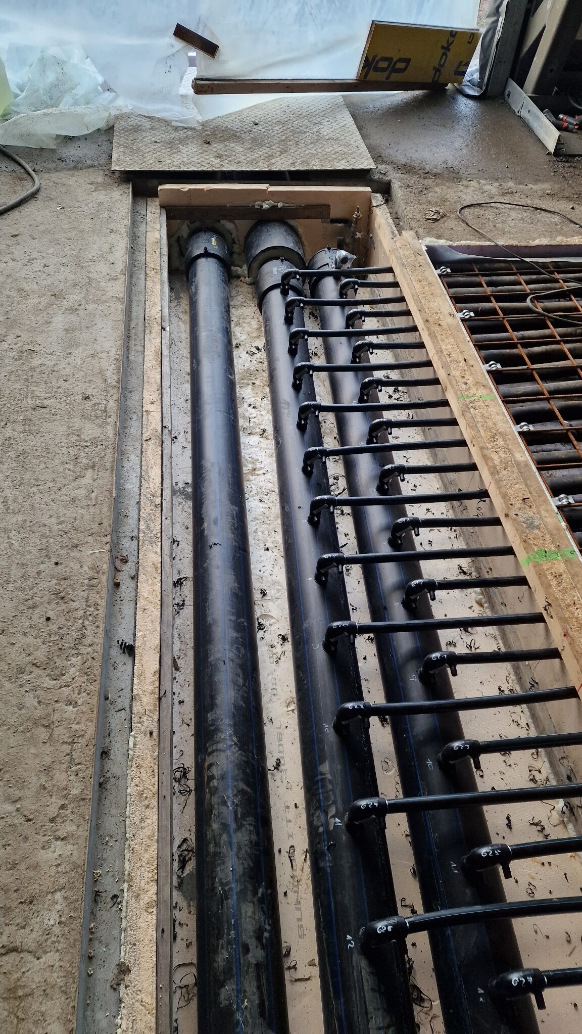 Moss Kunstisbane Telthall00203 rotated — Moss