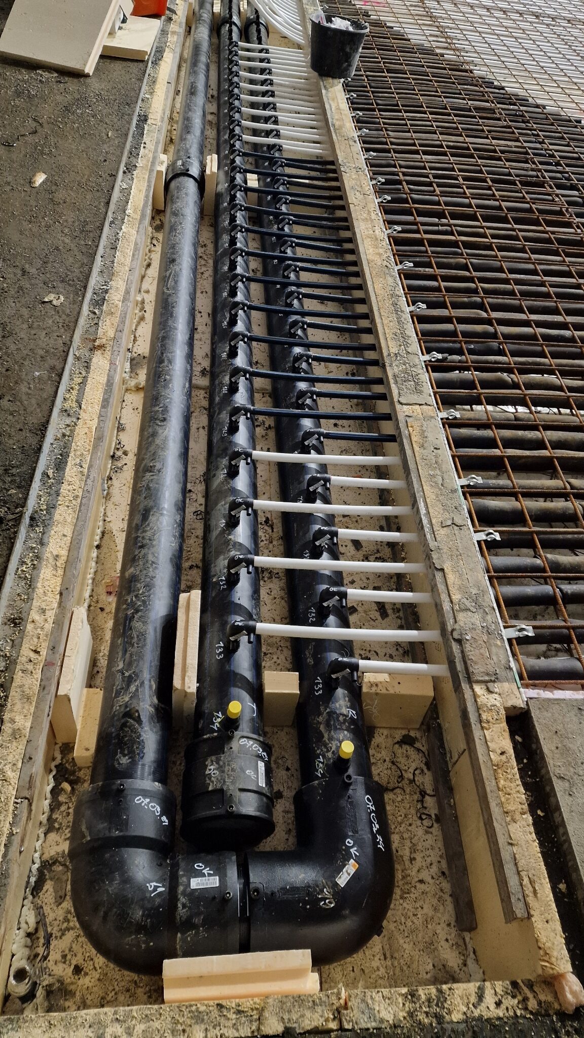 Moss Kunstisbane Telthall00207 rotated — Moss