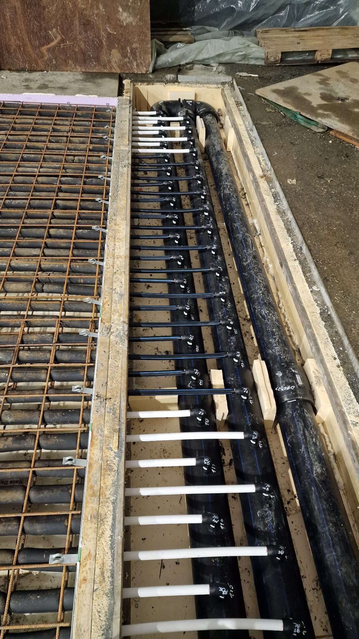 Moss Kunstisbane Telthall00213 rotated — Moss