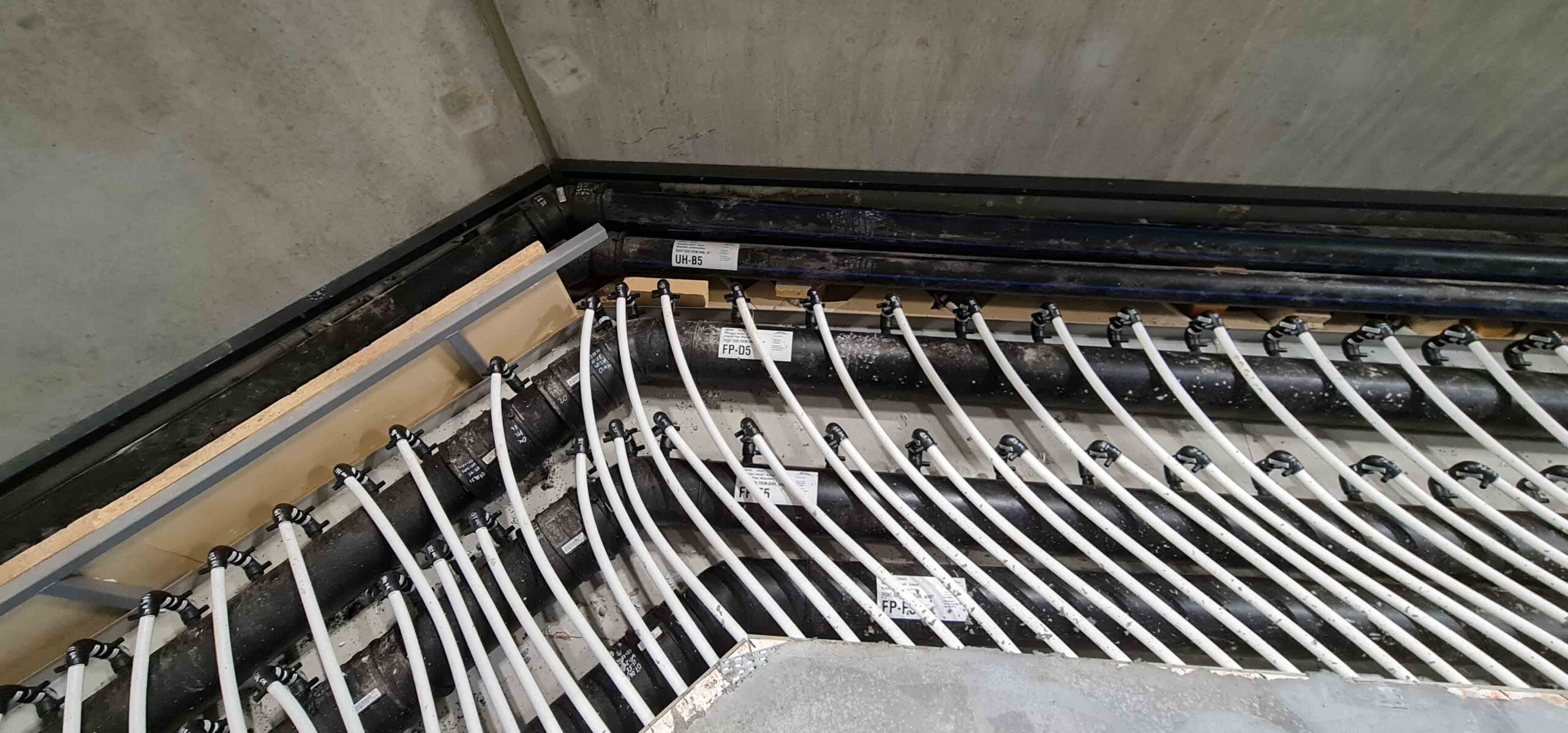 20210707 103948 scaled — Asker