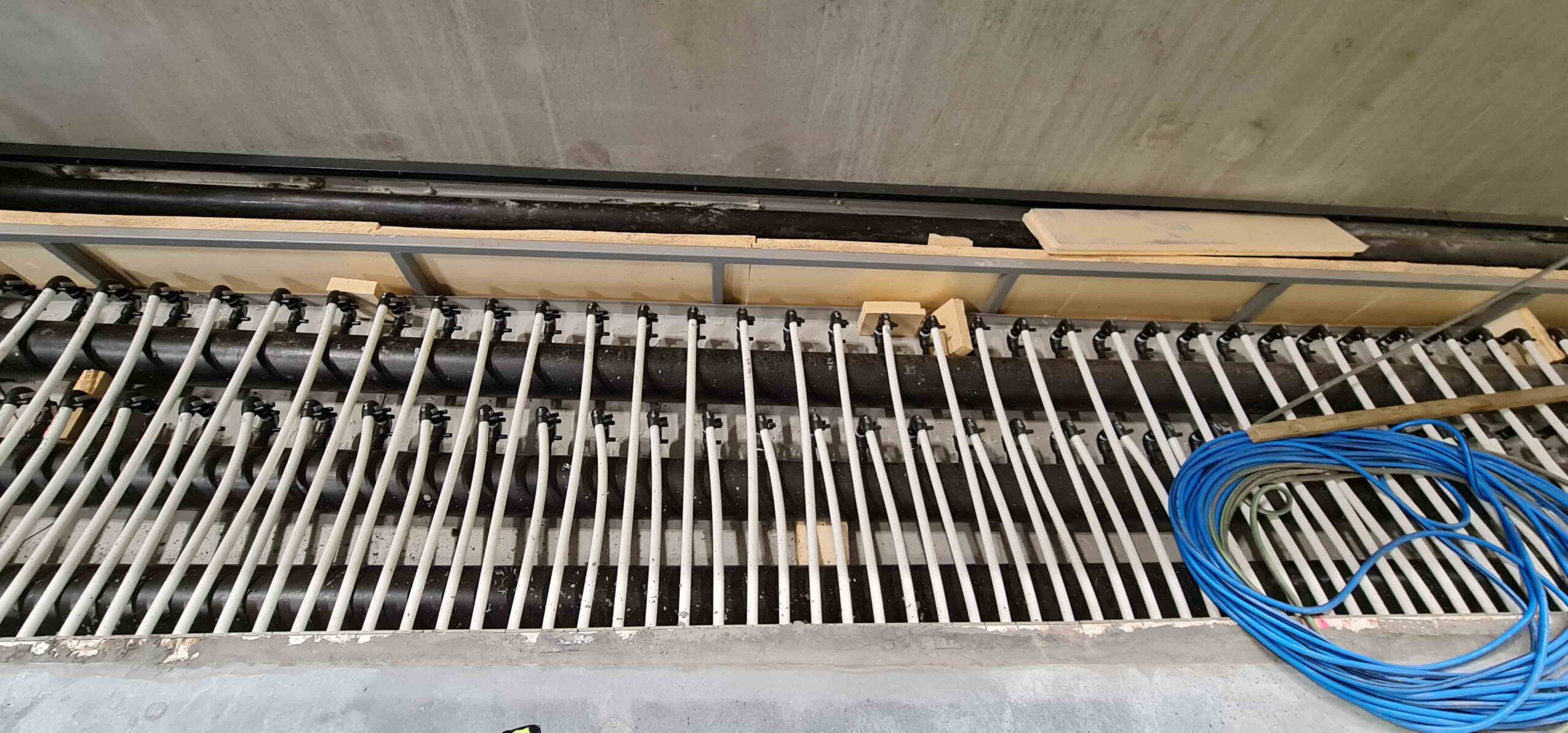 20210707 104026 scaled — Asker