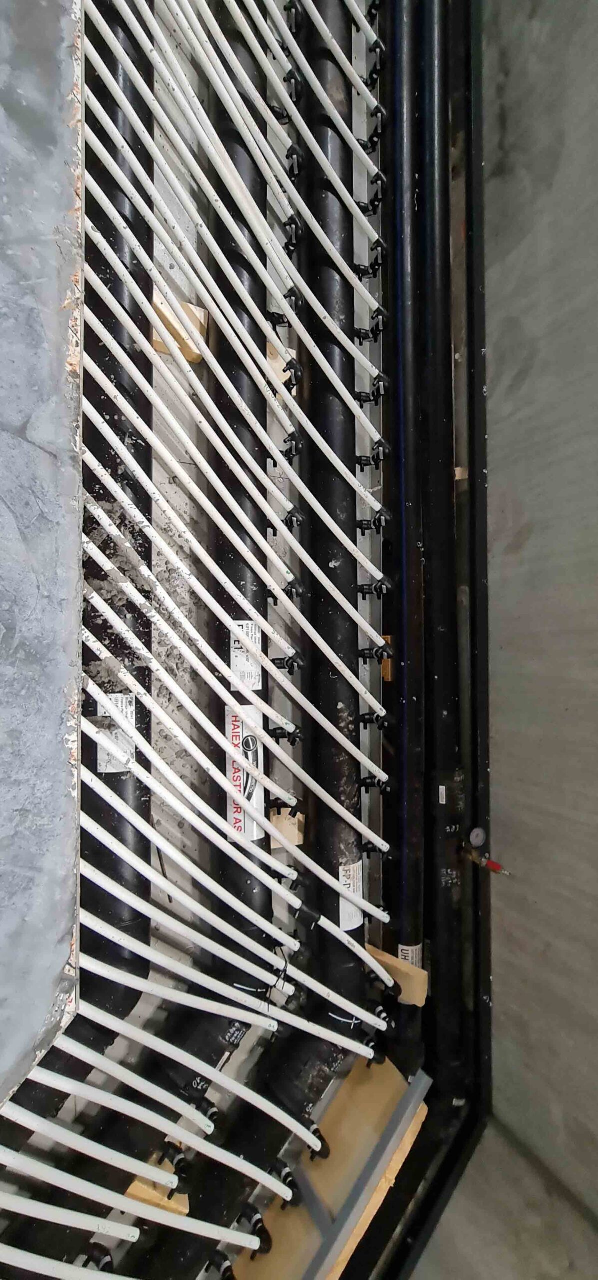 20210707 104037 scaled — Asker