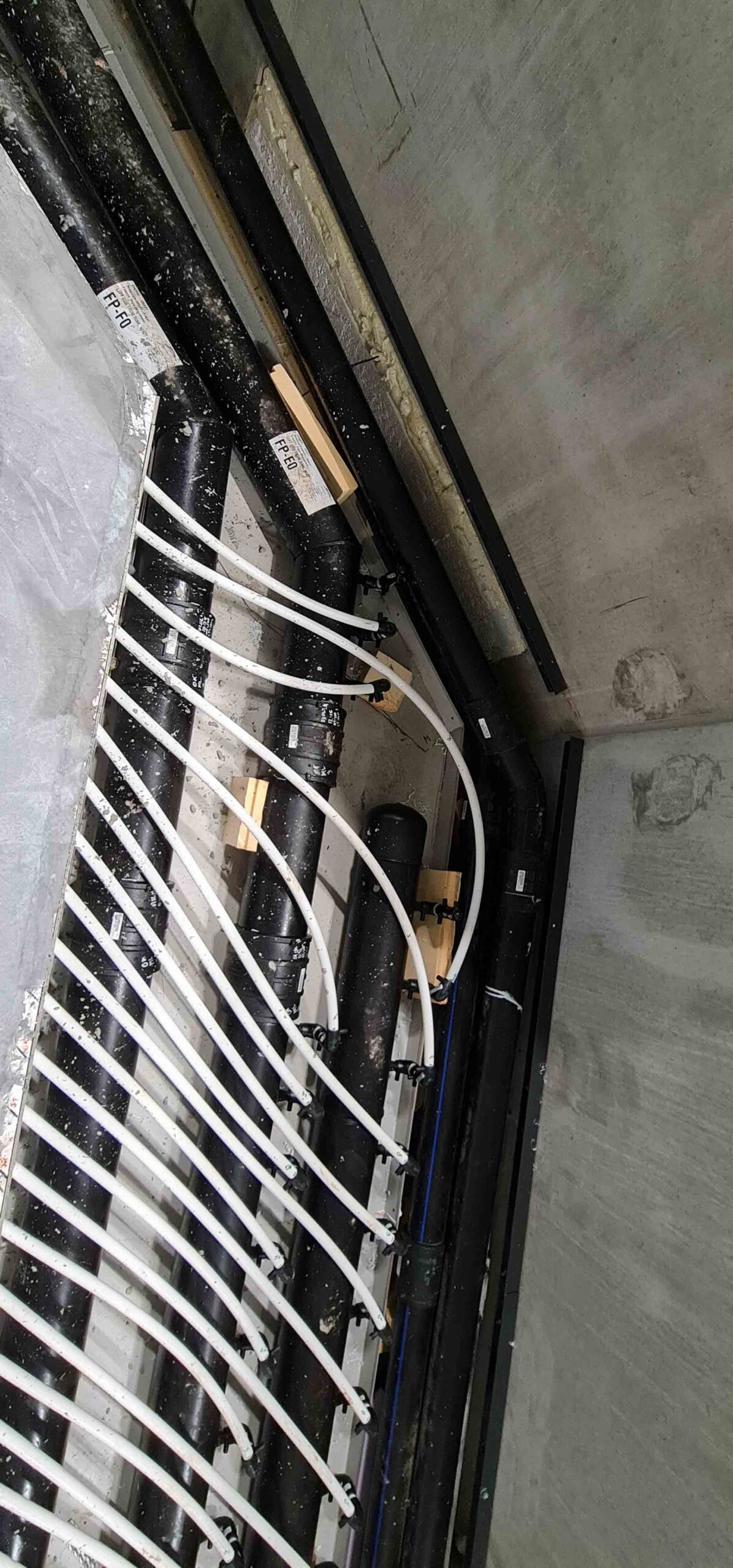 20210707 104047 scaled — Asker