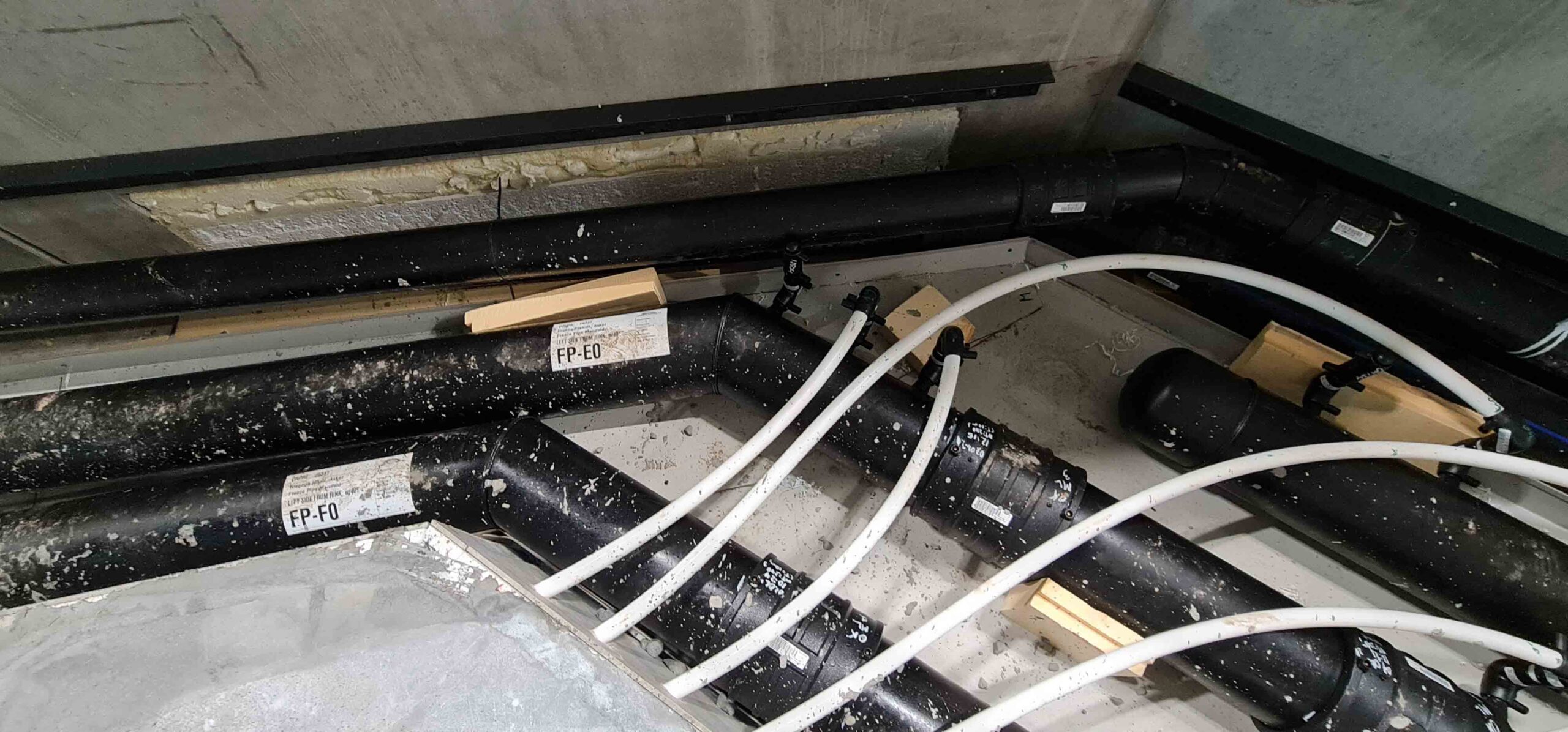 20210707 104050 scaled — Asker