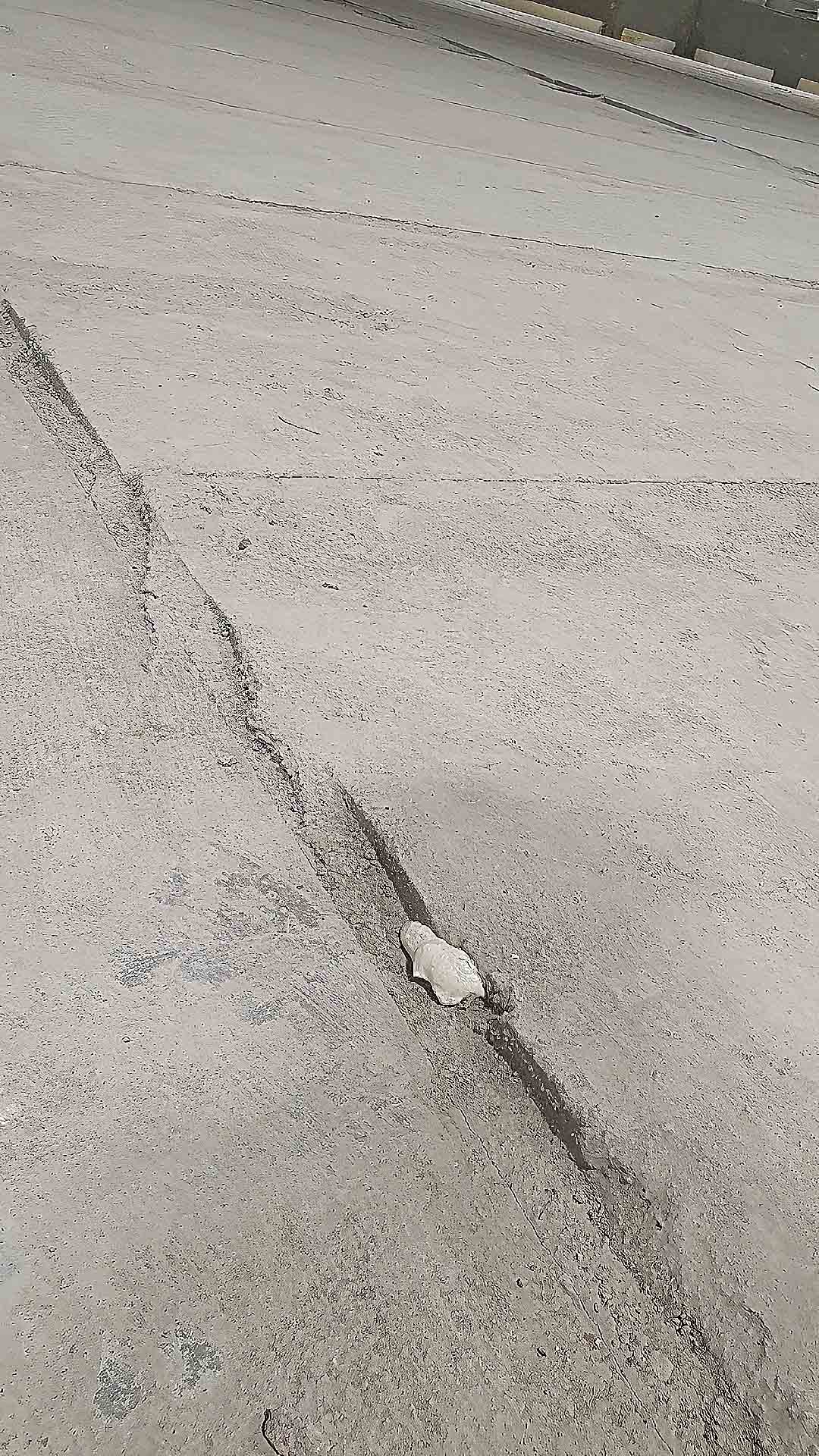 Risenga Tripletex Risenga Tripletex108 — Asker