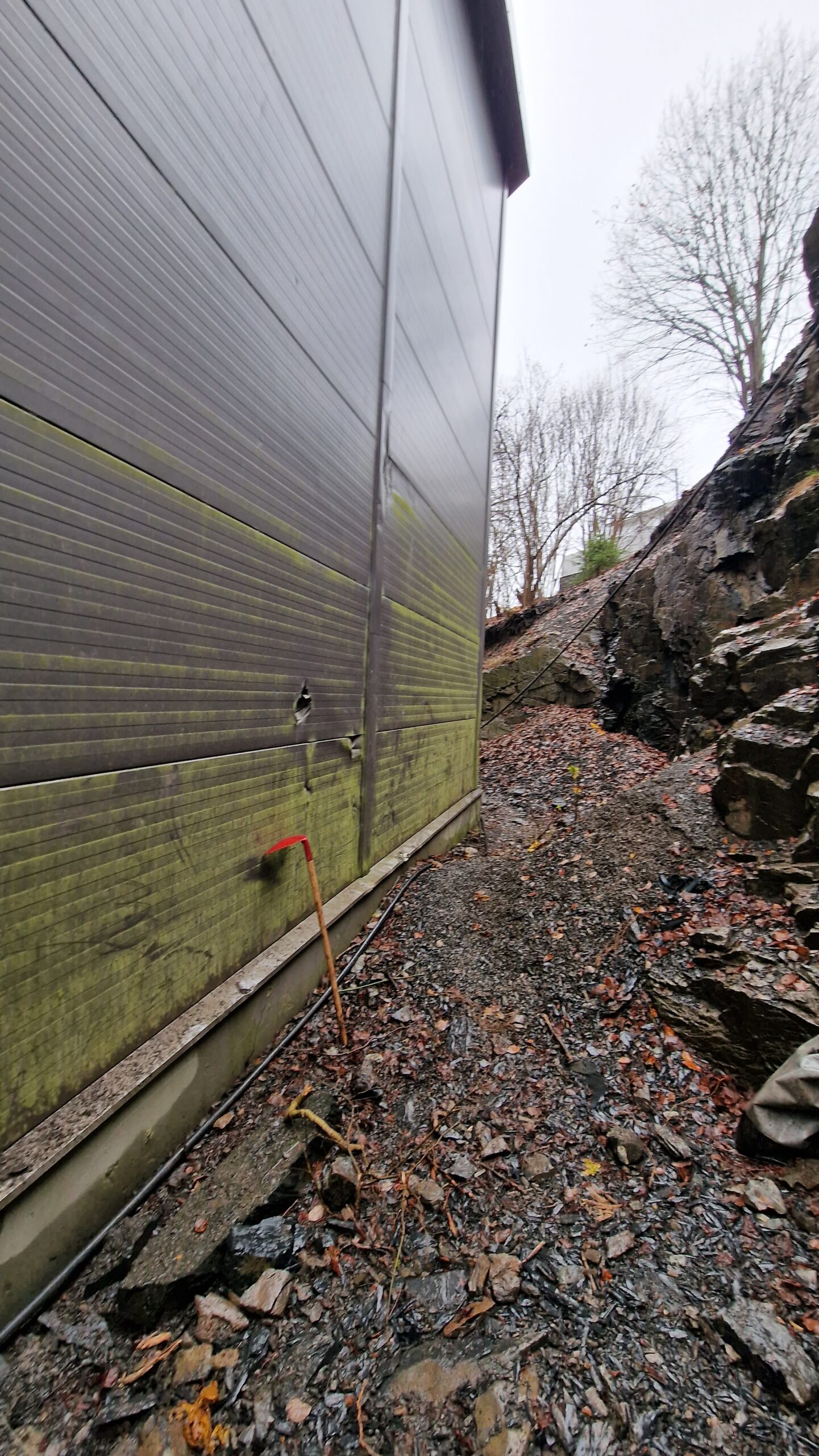 APP 20221109 223809 scaled — Bærum