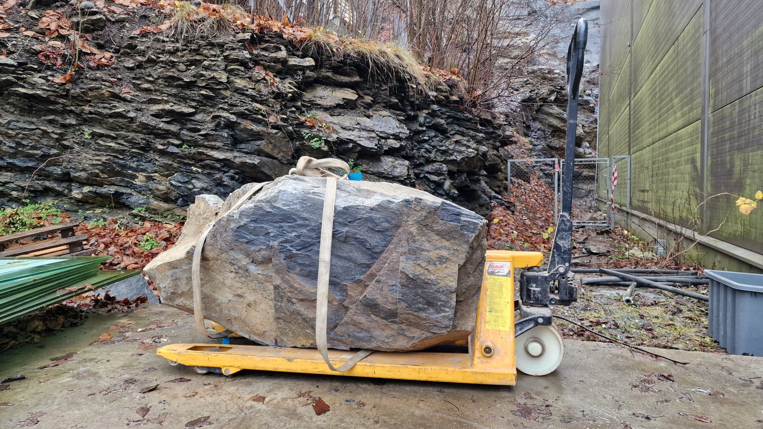 APP 20221109 22391820 scaled — Bærum