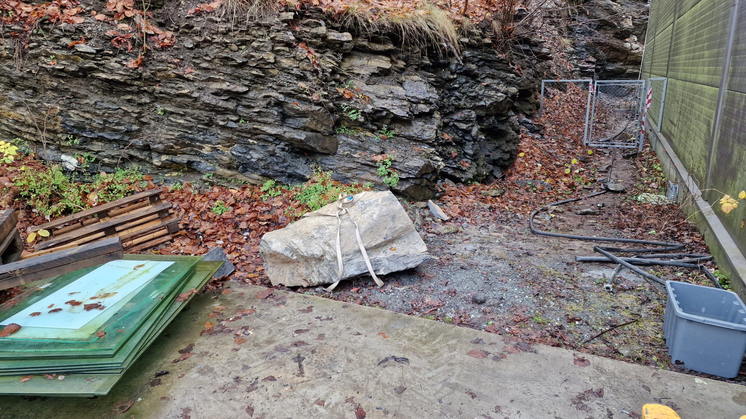 APP 20221109 22391822 scaled — Bærum