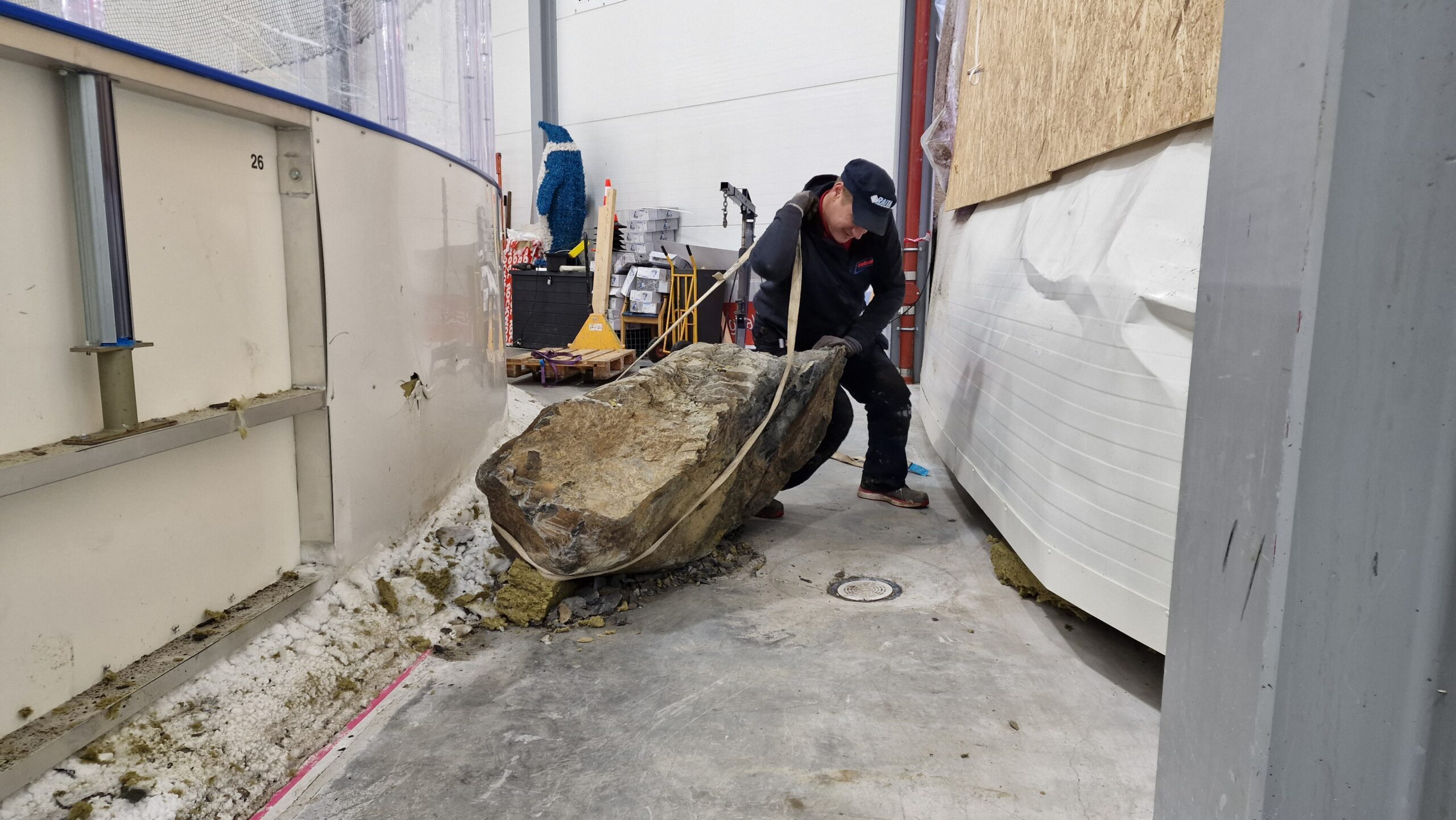 APP 20221109 2239188 scaled — Bærum