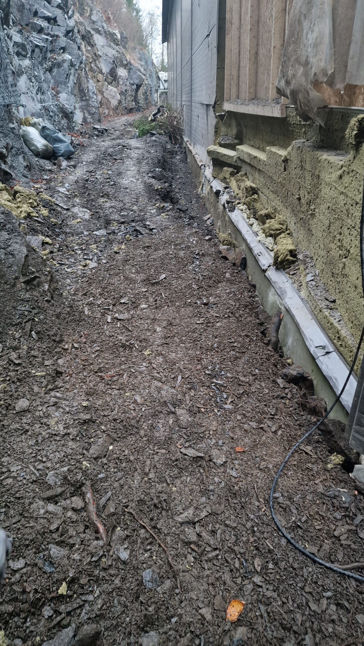 APP 20221123 20223335 scaled — Bærum